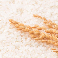 Oryza GABA rice germ