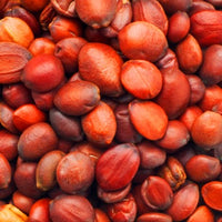 Sour Date Seed